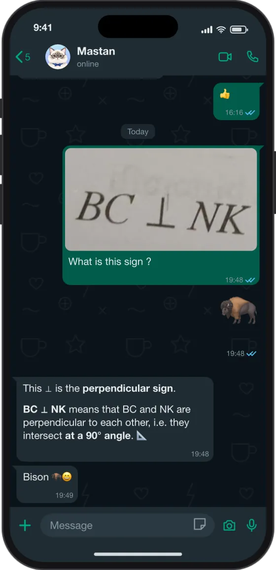WhatsApp chat: What does this symbol mean?