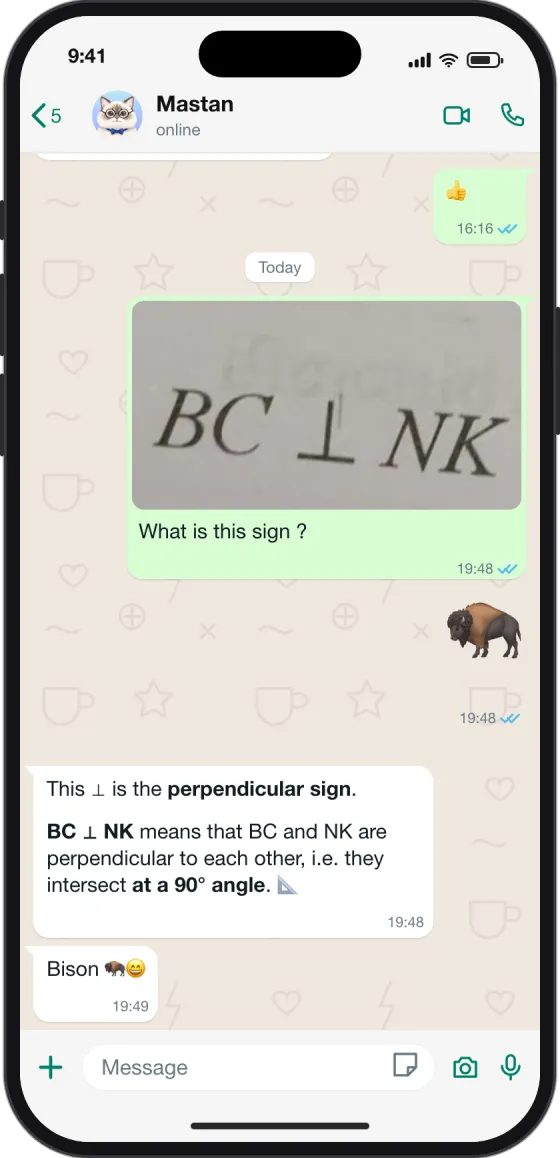 WhatsApp chat: What does this symbol mean?
