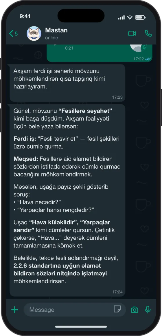 WhatsApp söhbəti: Məşğələ planına fərdi iş yaz