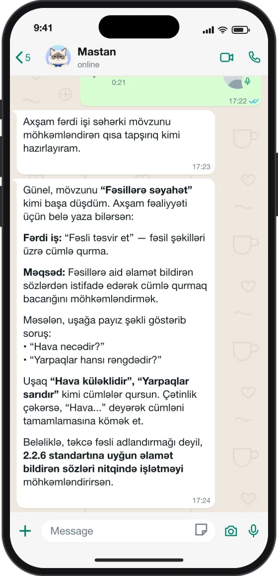 WhatsApp söhbəti: Məşğələ planına fərdi iş yaz