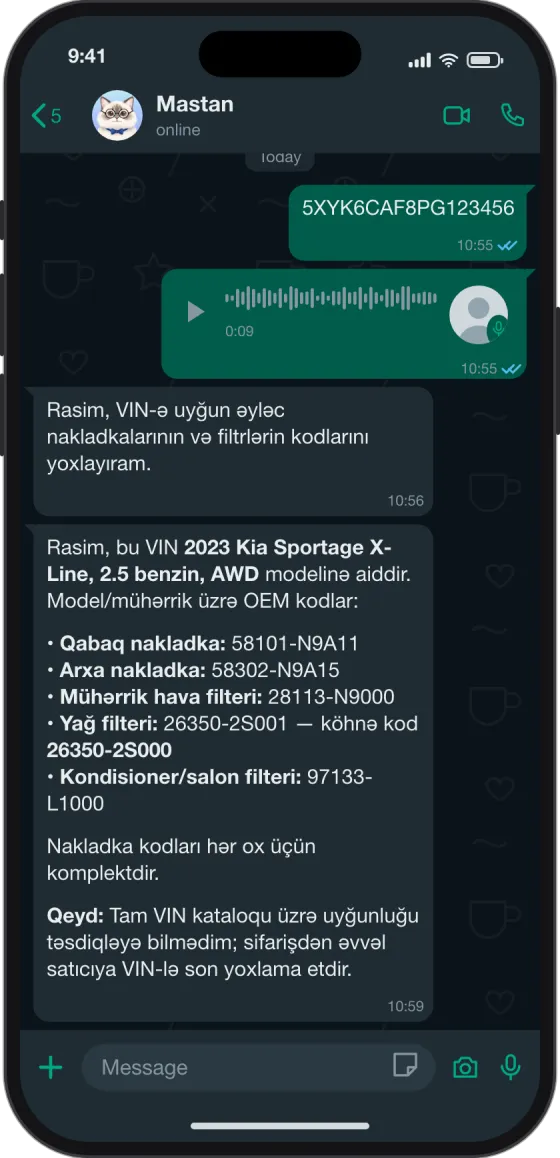 WhatsApp söhbəti: VIN və səsli mesaj, cavabda beş kod