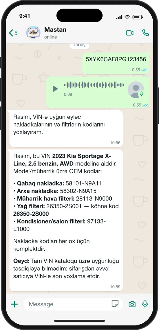 WhatsApp söhbəti: VIN və səsli mesaj, cavabda beş kod