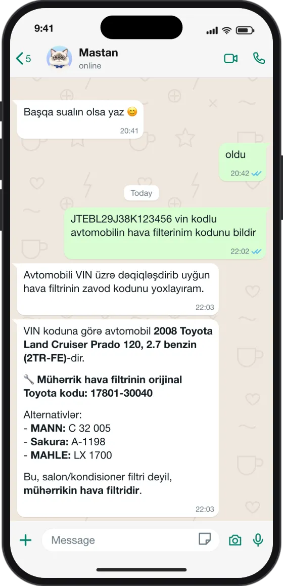 WhatsApp söhbəti: VIN-dən hava filtrinin kodu və analoqları